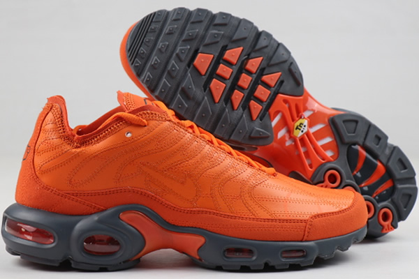 Nike Air Max TN 8951-2